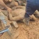 Murieron de manera trágica cuando trabajaban para llevarle el sustento diario a sus familias