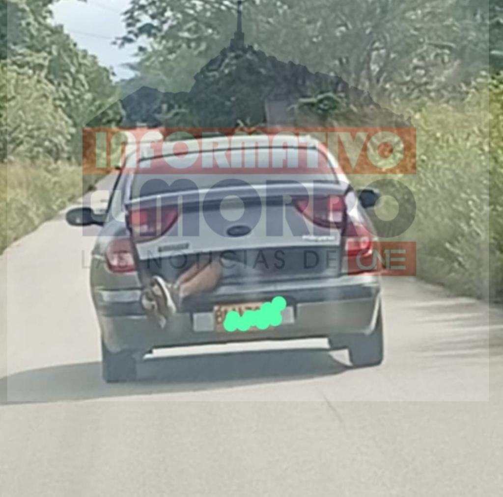 ¡Insólito!: Lo asesinaron y sus familiares impidieron inspección al cadáver tras llevarse el cuerpo en un carro