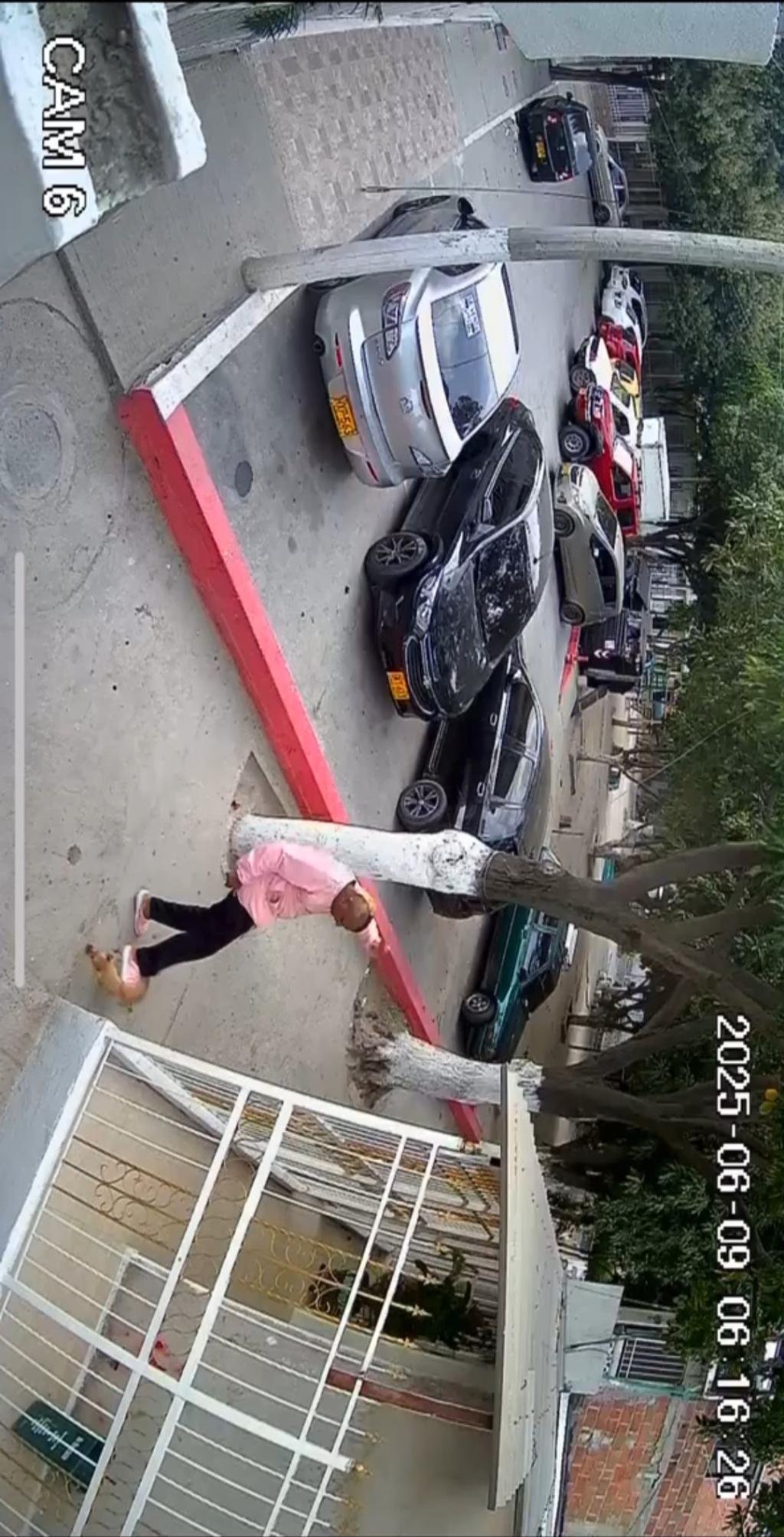 Distrito rechazó hecho  en el que perrito murió tras una patada que le propinó un sujeto