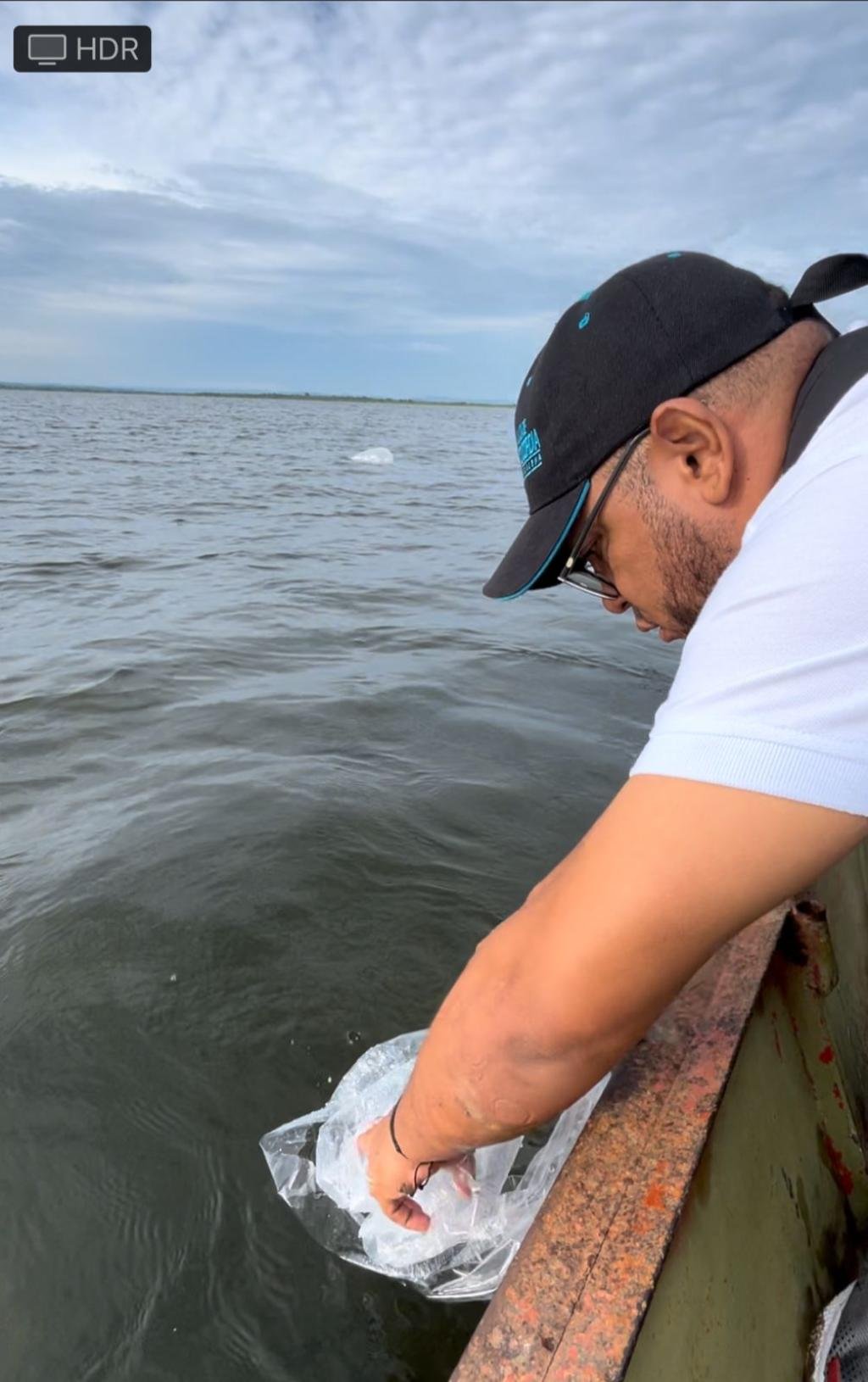 En Concordia renace la esperanza en los pescadores  por 'siembra' de 350.000 alevinos de Bocachico