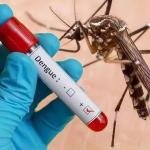 ¡Alerta por dengue en Magdalena! Más de 6.400 casos y 9 muertes en 2026