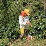 “Hemos experimentando el peor gobierno de la historia de Colombia, uno de izquierda”:Campesinos de Palmor denuncian posible afectación y despojo a sus tierras y piden intervención de la Fiscalía y la Procuraduría