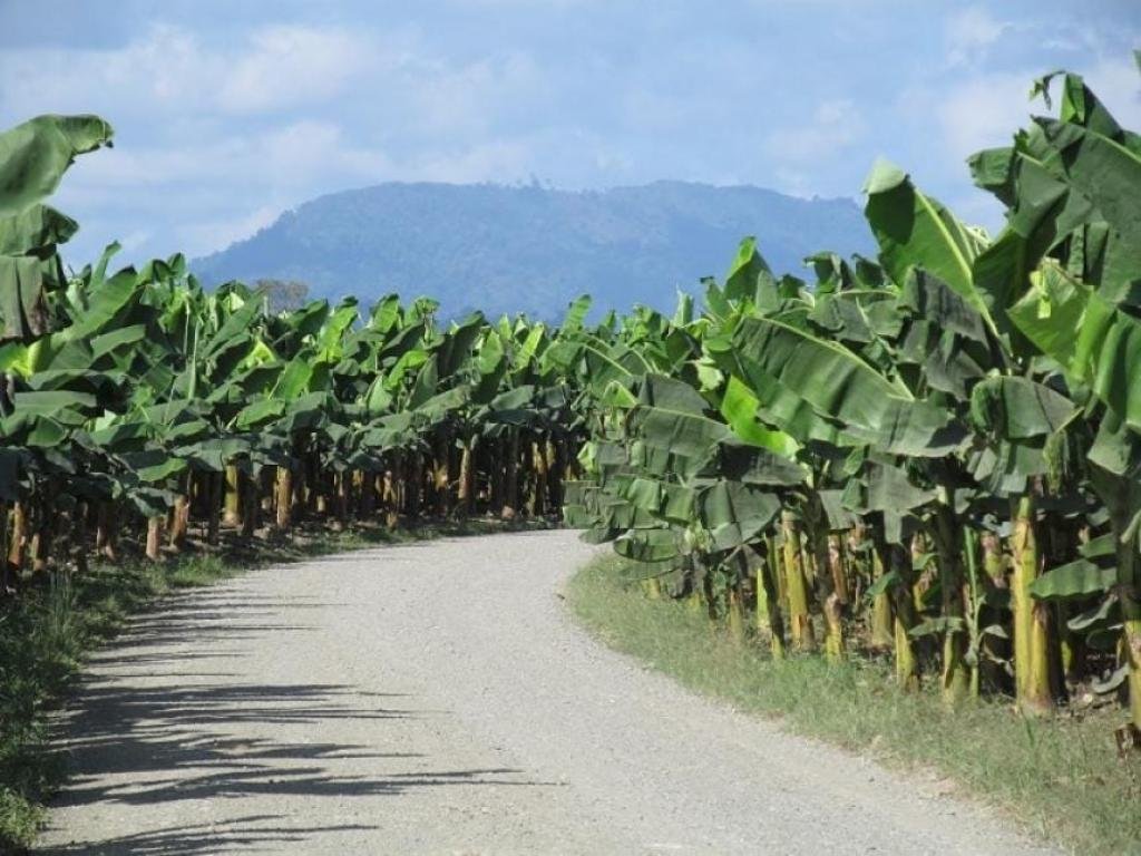 ¿Dónde está Zona Bananera? El municipio también vive los efectos de la crisis de orden público