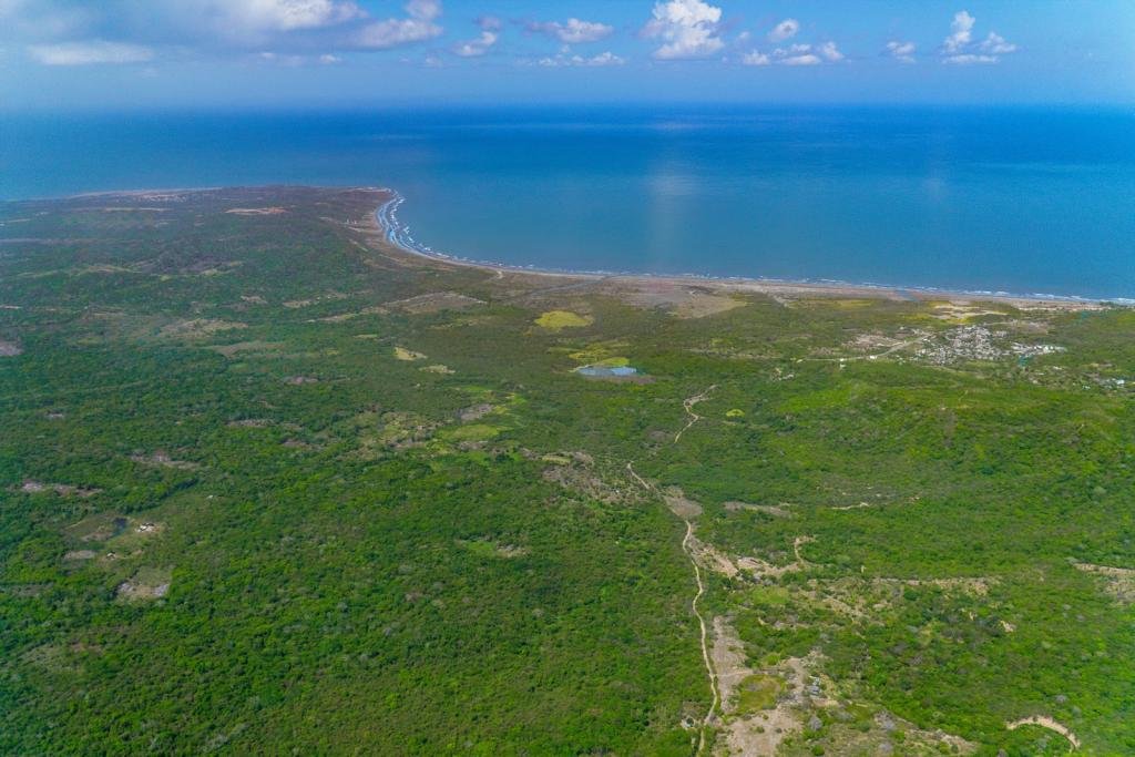 Lagos de Altamira entra en subasta como uno de los terrenos más grandes del Caribe colombiano