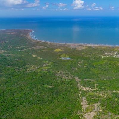 Lagos de Altamira entra en subasta como uno de los terrenos más grandes del Caribe colombiano