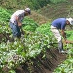 ANT acelera la Reforma Agraria en el Magdalena: entregará más de 100 títulos rurales en el primer semestre de 2026