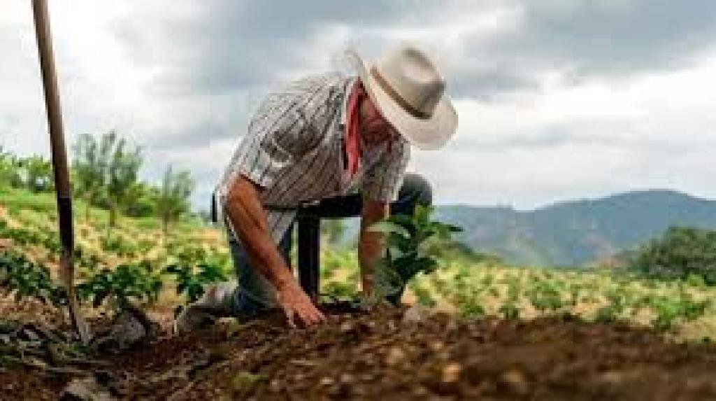 Gobierno nacional entrega este jueves 3.200 hectáreas en San Sebastián, Magdalena